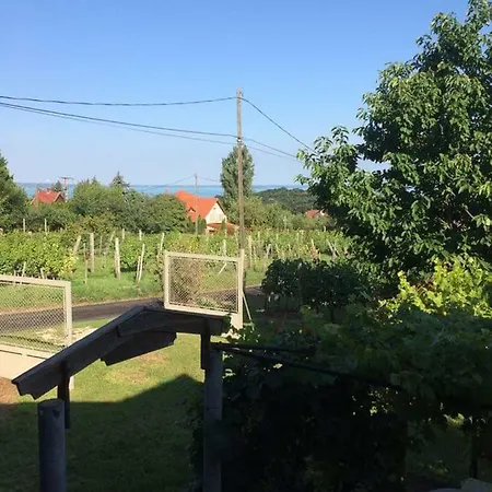 Bors Szolo Fogado Balatonalmádi
